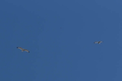 2015-06-26_12-00-44_DSC06748_LR